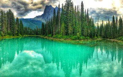 Seek Out What Elevates Your Spirit in 2026